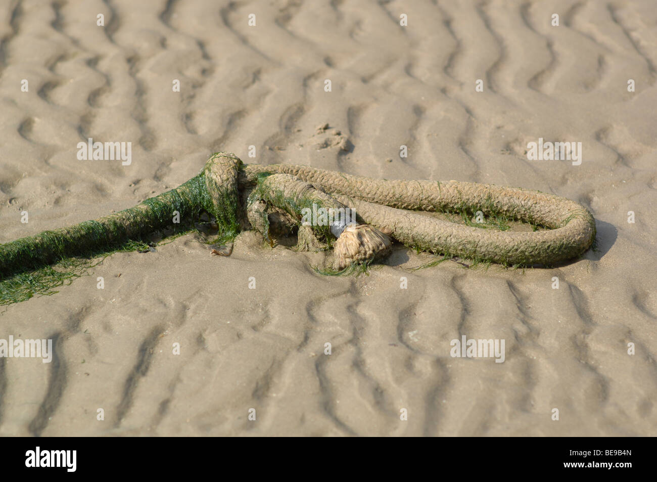 Rope on a sandy beach Stock Photo