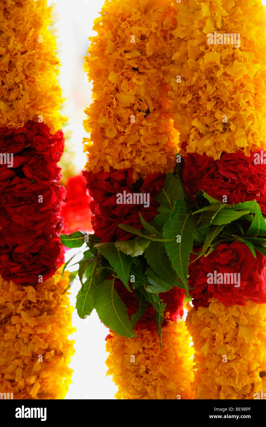Brightly coloured flower garlands Stock Photo Alamy