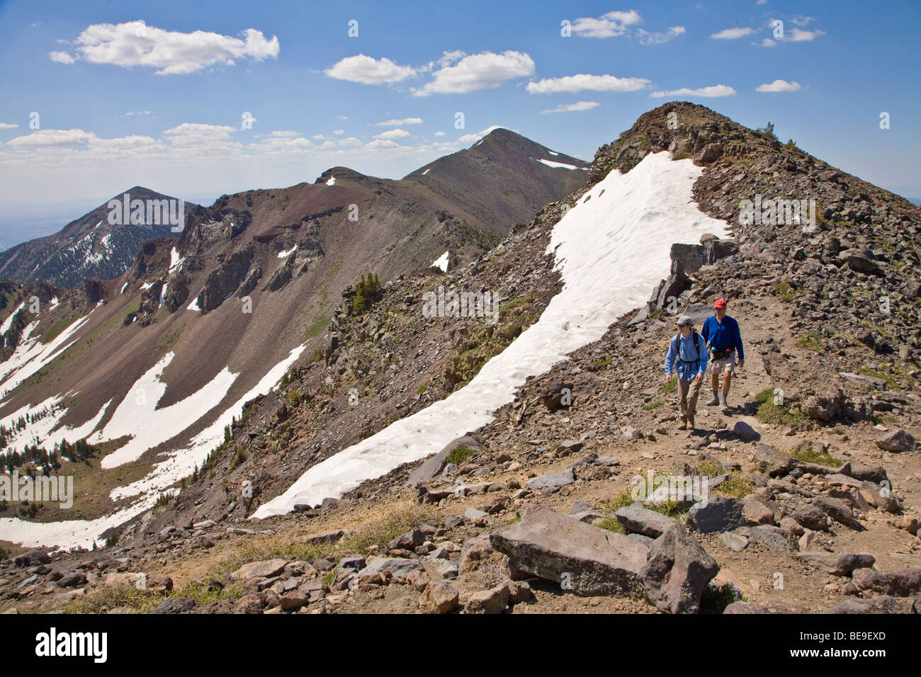 Hikers amid alpine tundra above timberline on Humphreys Trail in Kachina Peaks Wilderness Area, Flagstaff Arizona, USA Stock Photo