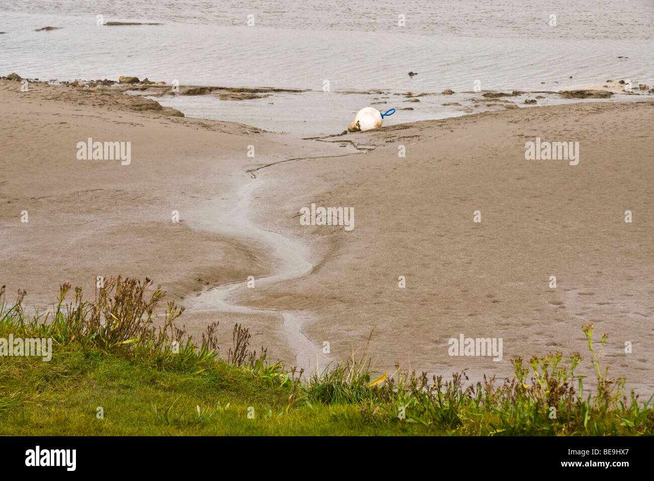 Salt marsh and mud flats alongside the River Kent estuary at Arnside, Morecambe Bay. Stock Photo