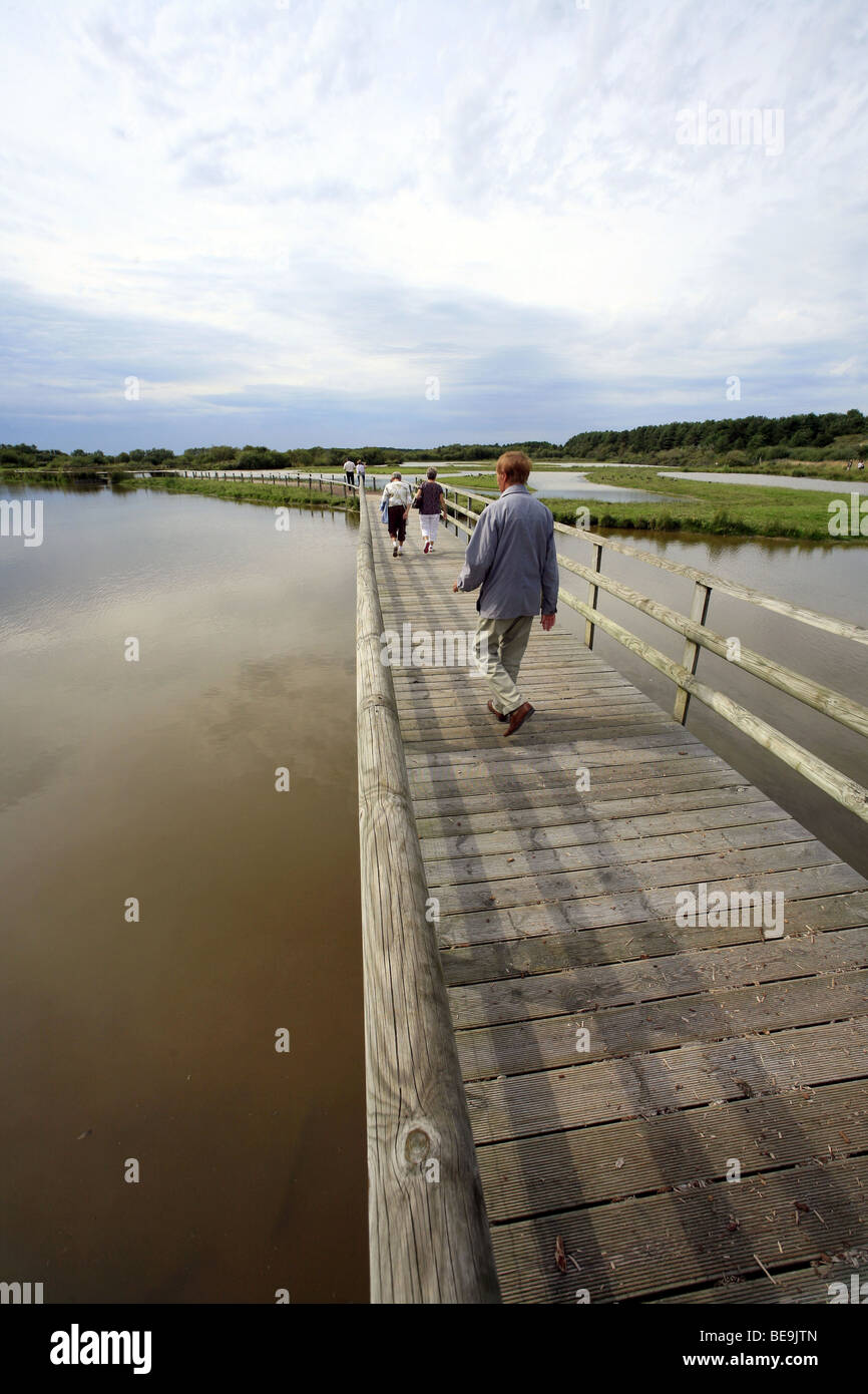 The Bay of Somme, Baie de Somme (80) : walk in the Park of Marquenterre Stock Photo