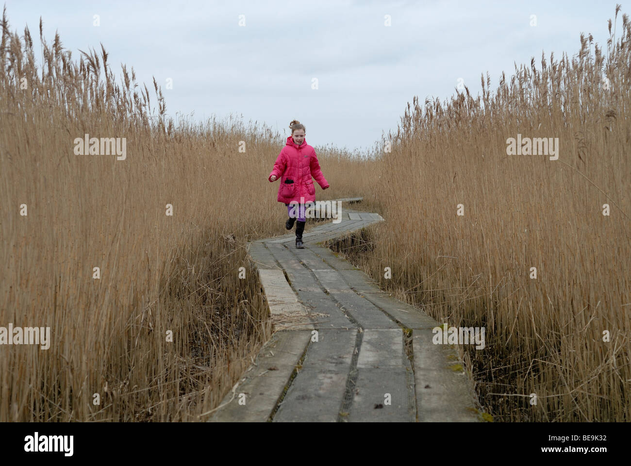 Meisje rennend over knuppelpad naar de Kiekkaaste; Girl running over wooden path to birdwatching tower Stock Photo