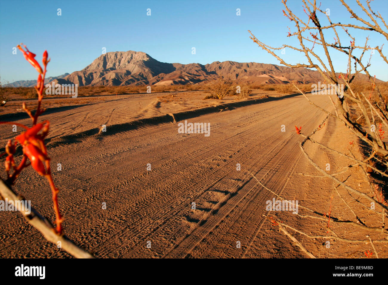 BajaCalifornia (Mexico) Bahia de Los Angeles Stock Photo Alamy