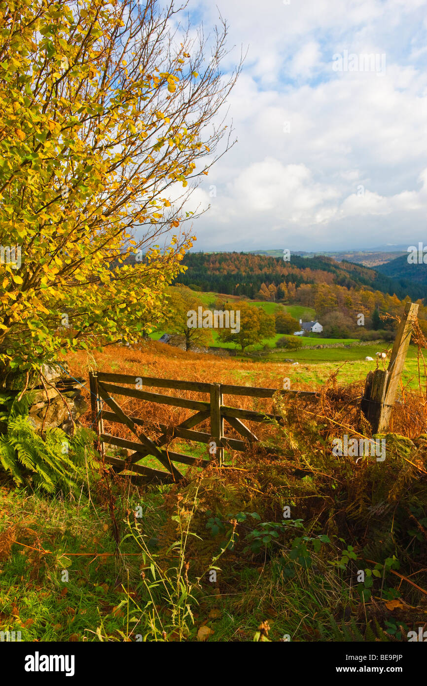 Tyn Llwyn near Betws y coed Conwy Wales Stock Photo Alamy
