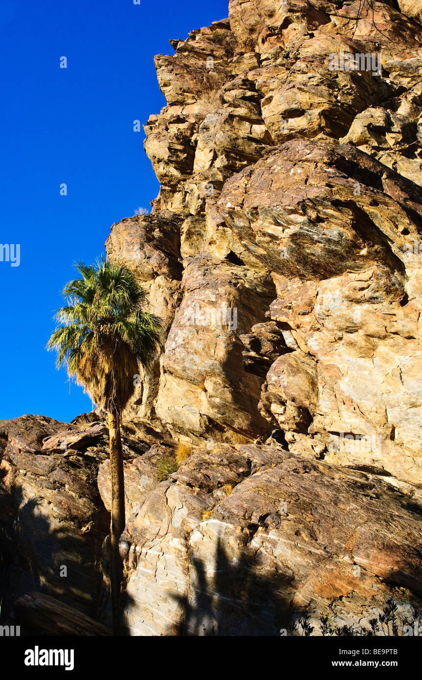 Indian reservation land, Palm Springs desert Andreas Canyon California