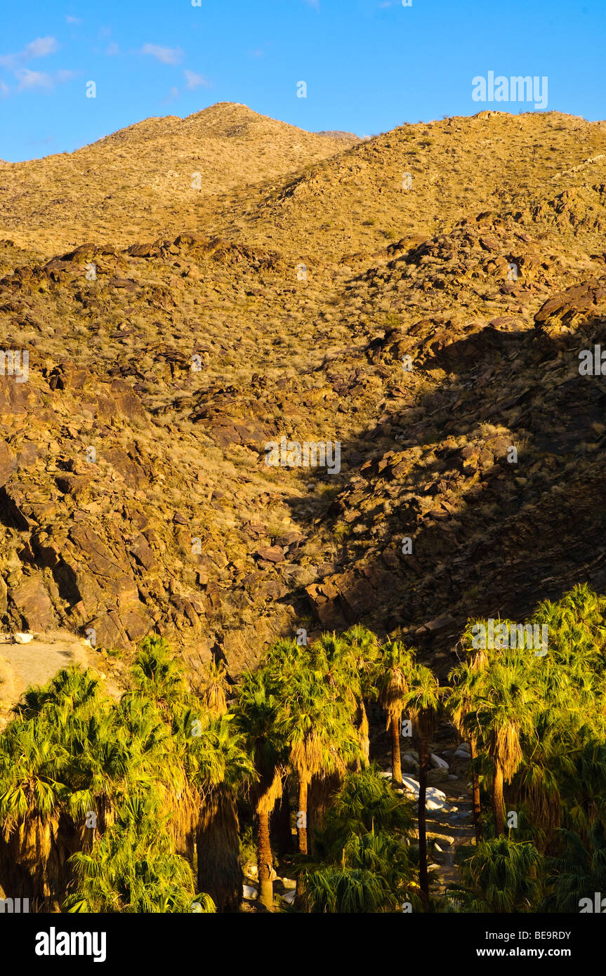 Map of Aqua Canyon Palm Springs Agua Caliente Indian Canyon Palm