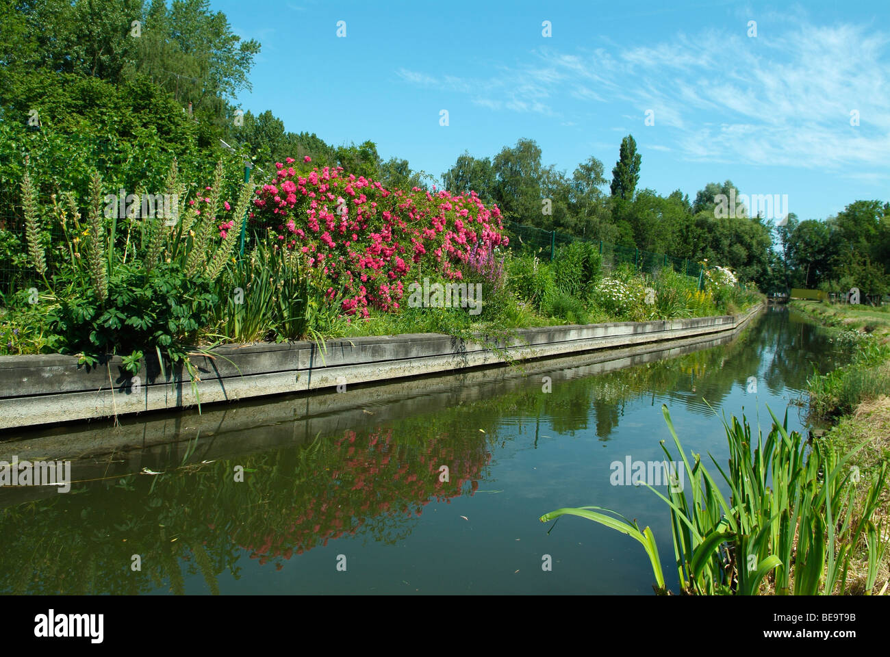 Les hortillonnages in Amiens, Picardy, North of France, Europe Stock Photo