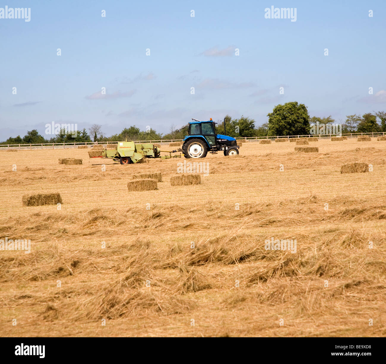 Tractor harvesting hay in field, Hollesley, Sufolk, England Stock Photo ...