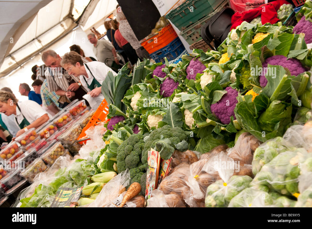 Vegetables on show at Ludlow Food Festival Shropshire Stock Photo Alamy