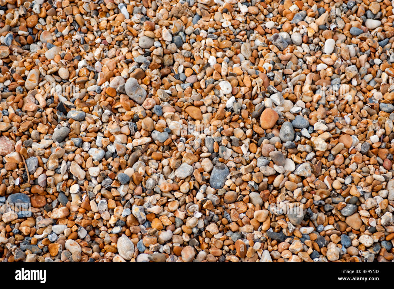 pebbles and shingle on a beach Stock Photo