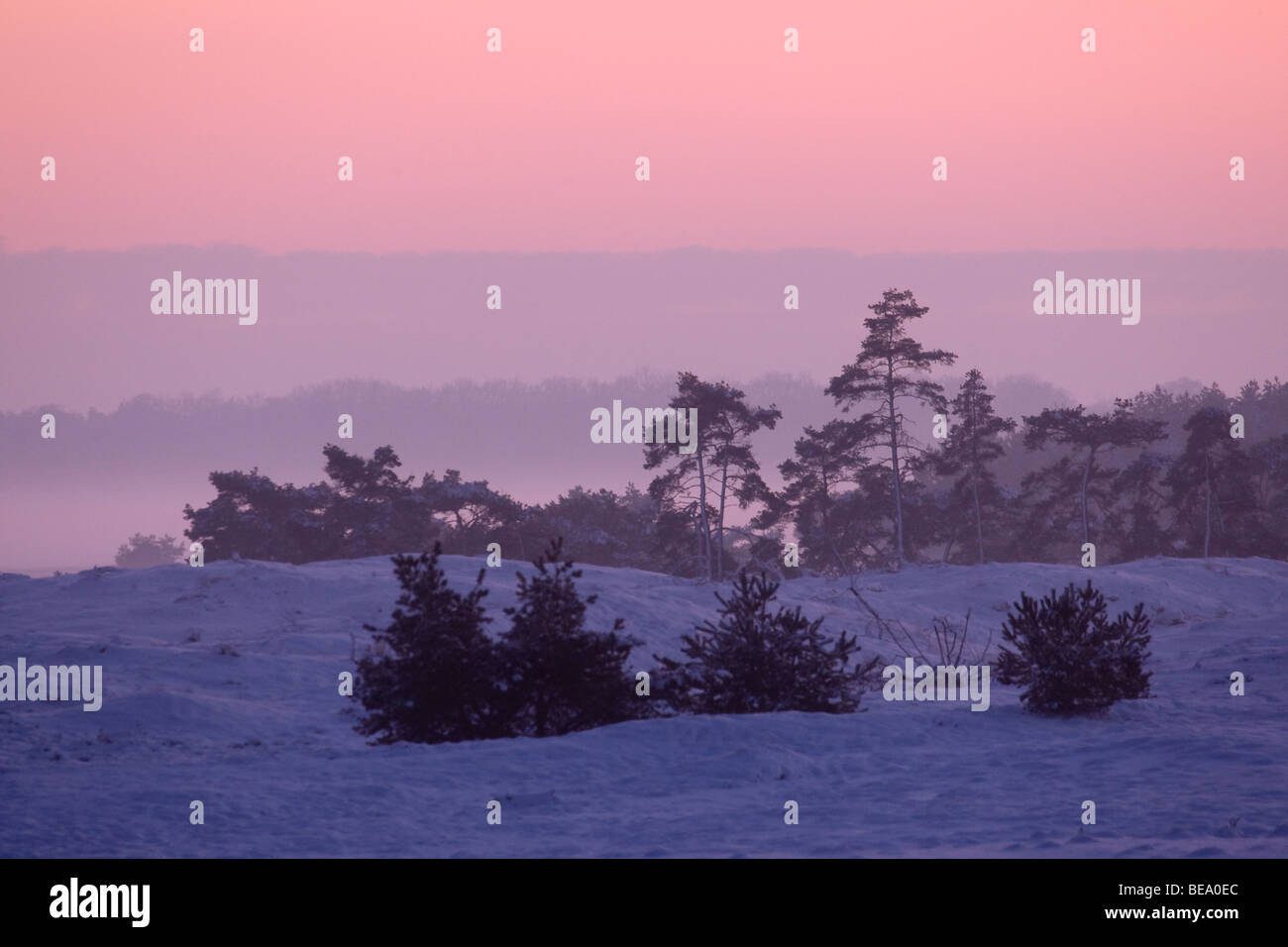 Scotch snow hi-res stock photography and images - Alamy