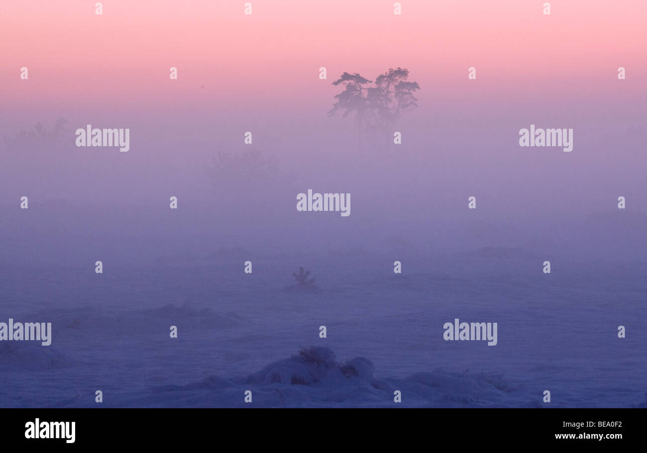 Scotch snow hi-res stock photography and images - Alamy