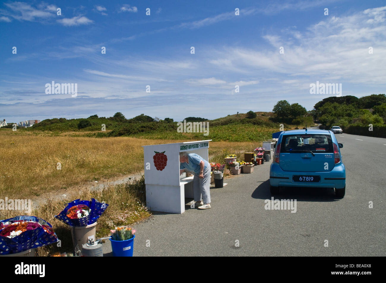 dh  VALE GUERNSEY Woman buying local produce at a hedge stalls market in Guernsey shopping vegetable stall roadside veg Stock Photo