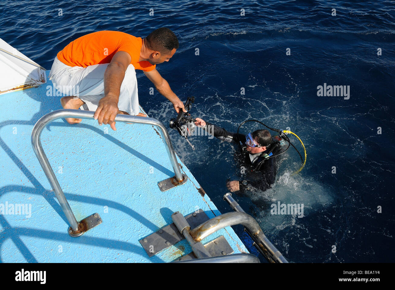 Sailor giving a camera to a diver, Red Sea, Egypt Stock Photo - Alamy