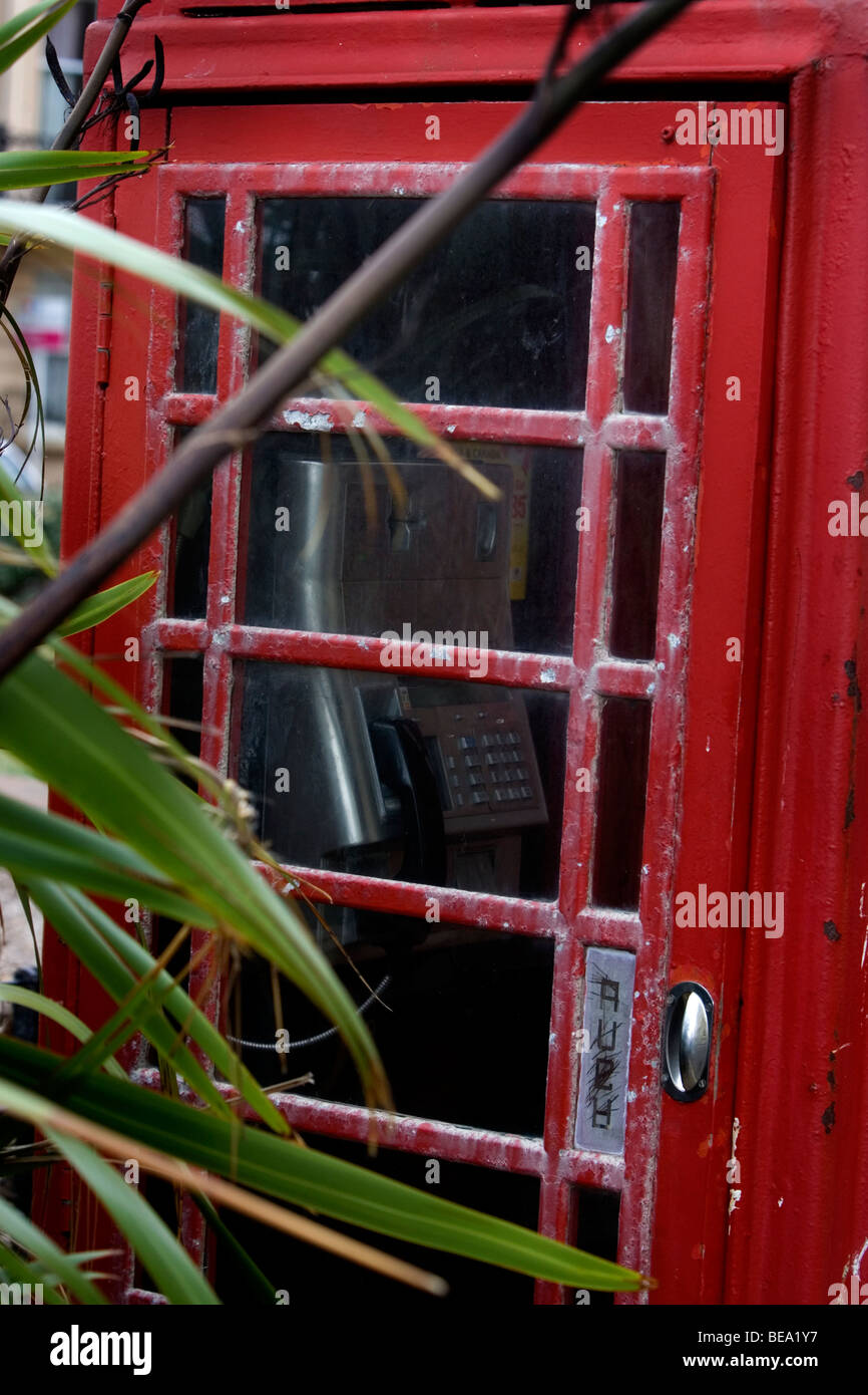 Old fashioned British Telecom red phone box in a bad state of repair with grafitti and overgrown surroundings, Brighton, UK. Stock Photo