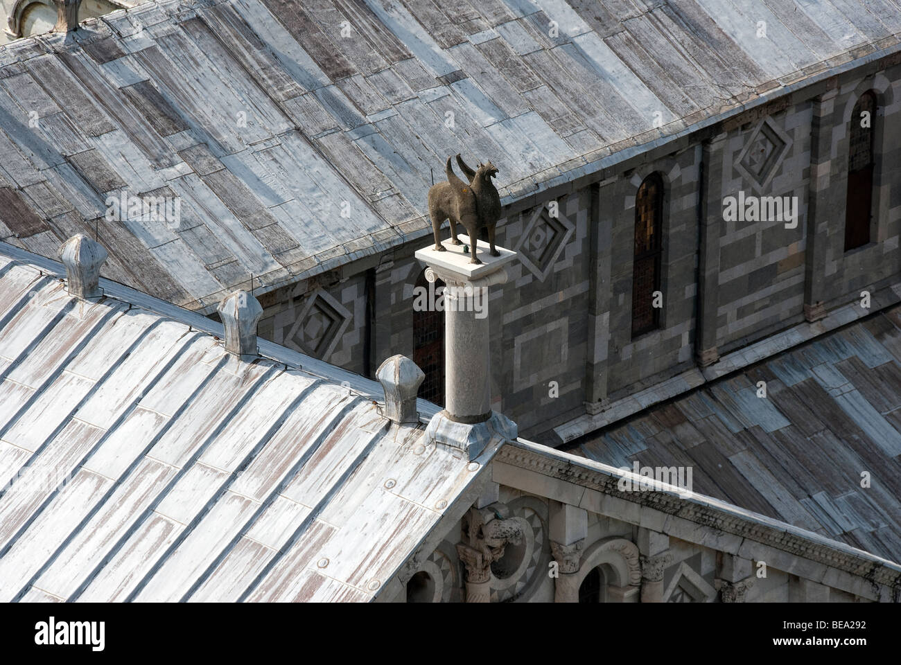 Hippogriff  on the roof of the Duomo of Pisa viewed from the Leaning Tower Stock Photo