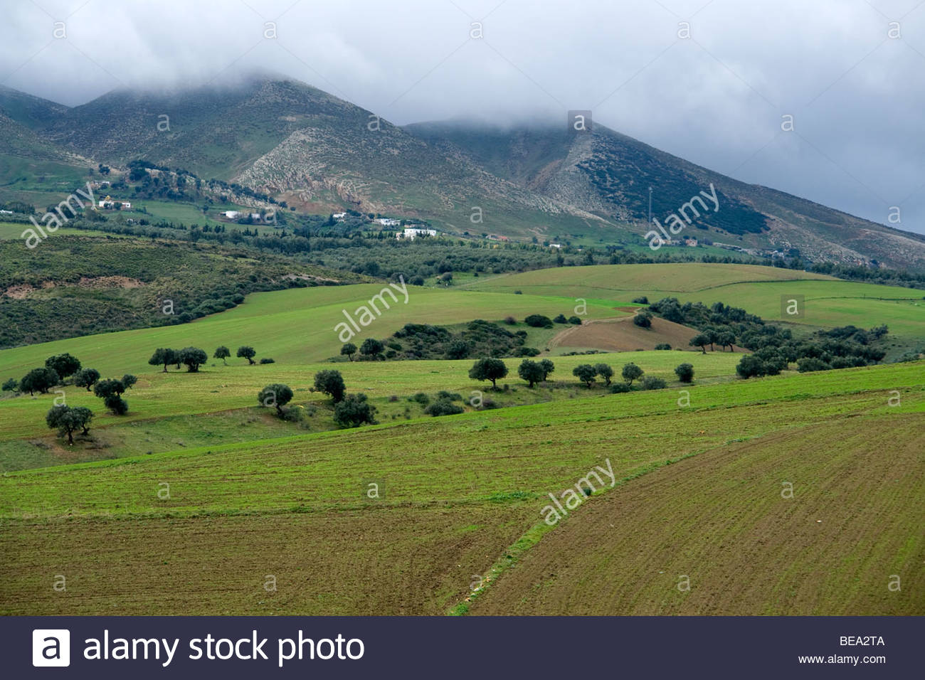 Landscape in northern Tunisia between Mateur and Tabarka Stock Photo