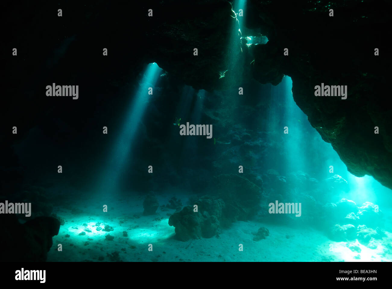 Rays of light stream inside an underwater cave, Red Sea Stock Photo