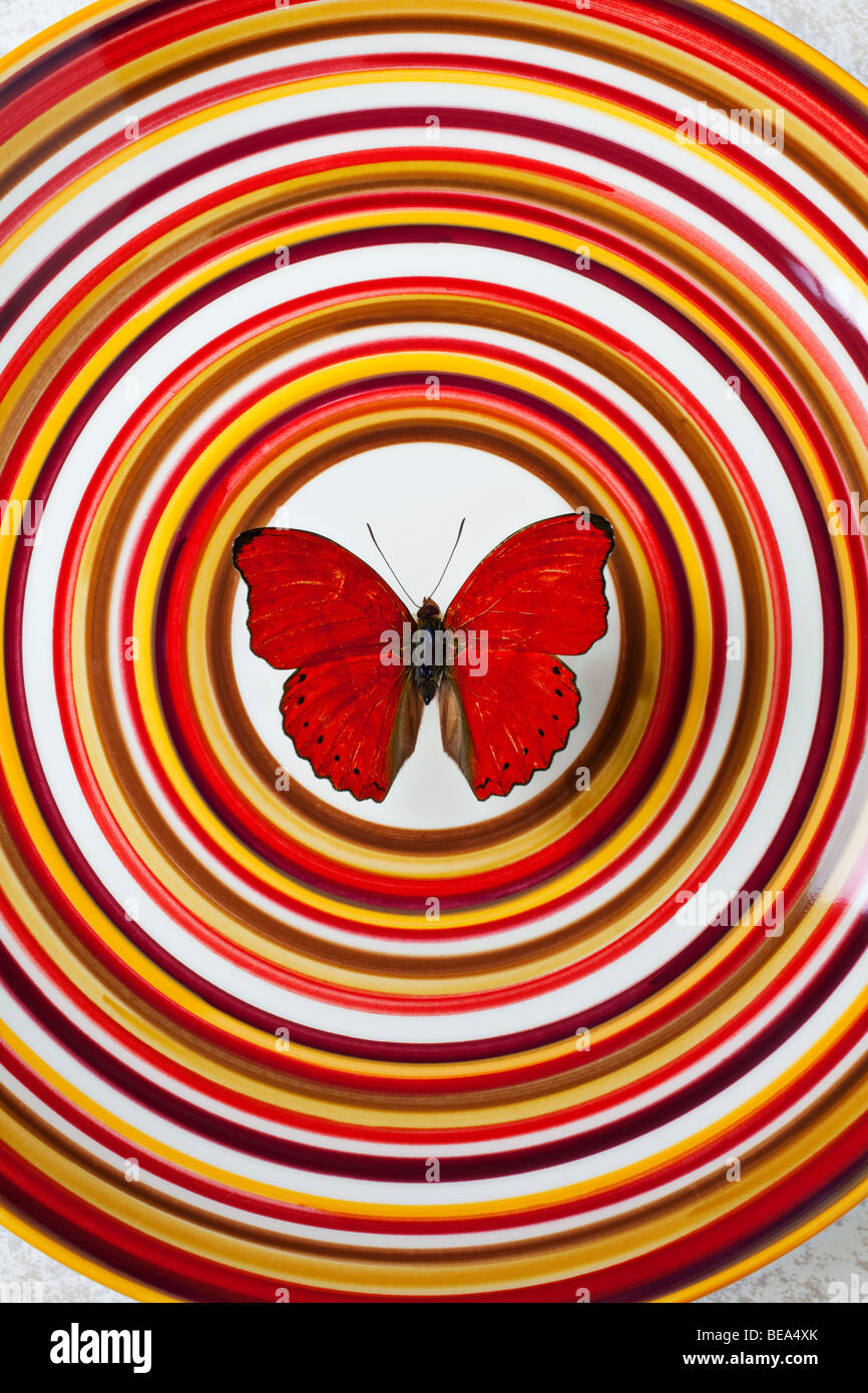 Red butterfly on plate with many circles Stock Photo