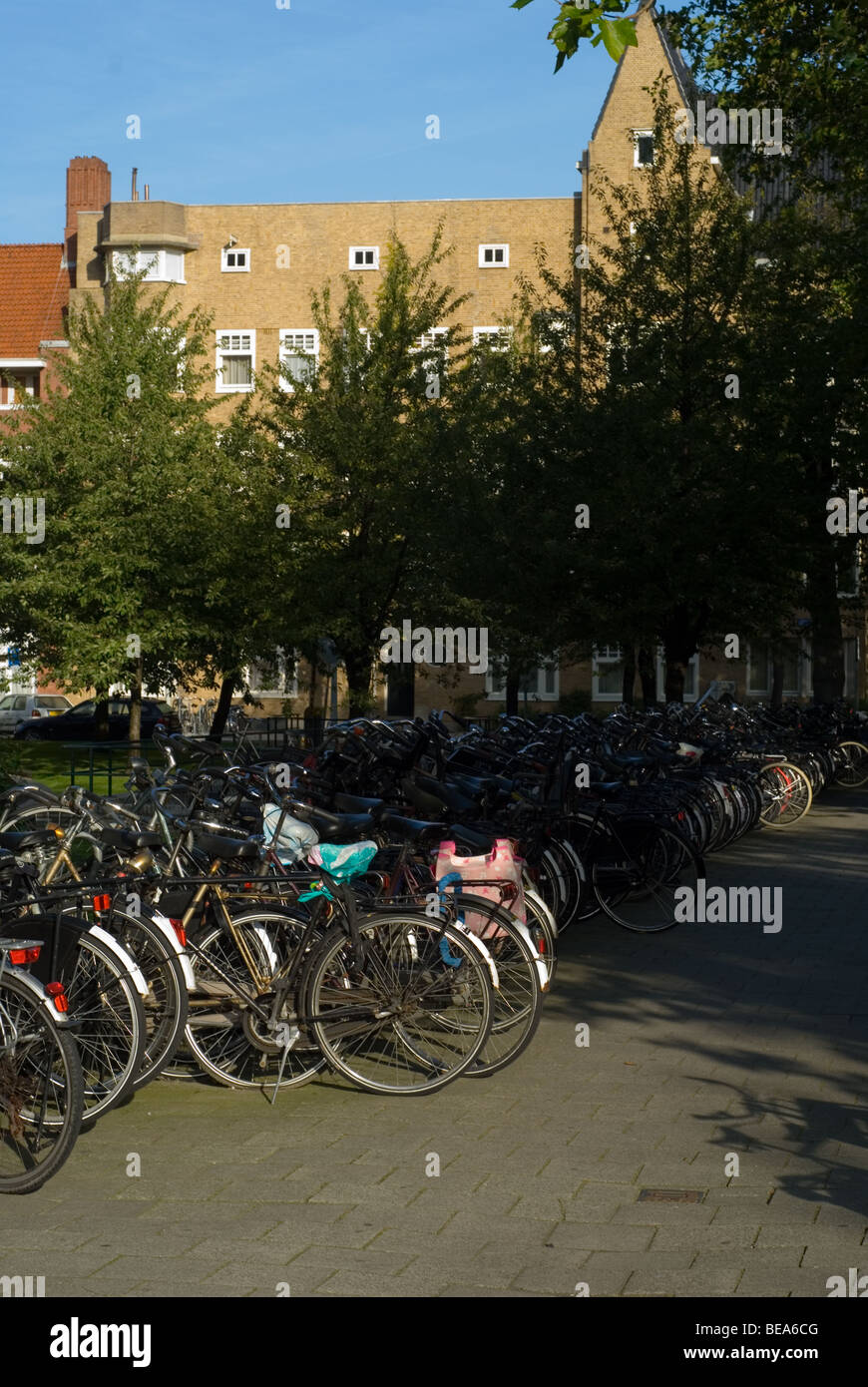 Bicycle stand in Amsterdam South Stock Photo