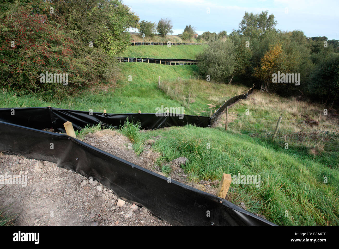 Fencing to catch reptiles, Chasewater, Staffordshire, September 2009 Stock Photo