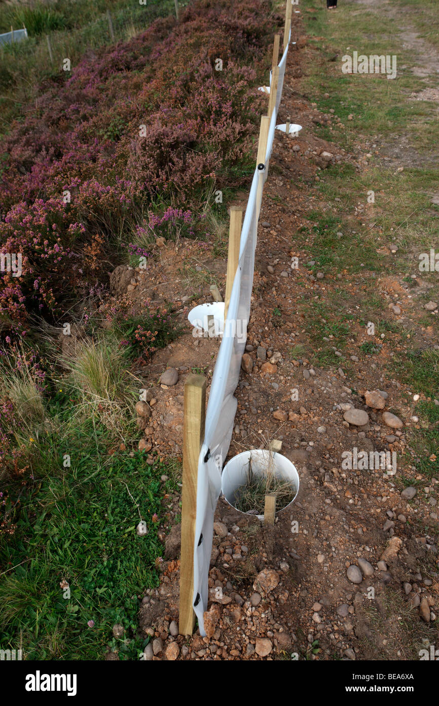 Fencing to catch reptiles, Chasewater, Staffordshire, September 2009 Stock Photo Alamy