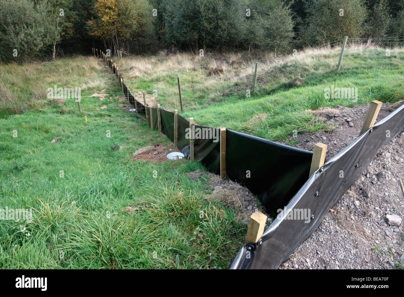Fencing to catch reptiles, Chasewater, Staffordshire, September 2009 Stock Photo