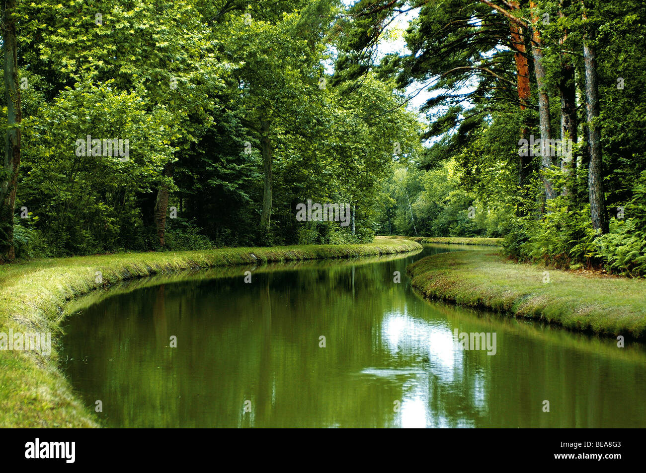 Sologne, the "Canal de la Sauldre Stock Photo Alamy