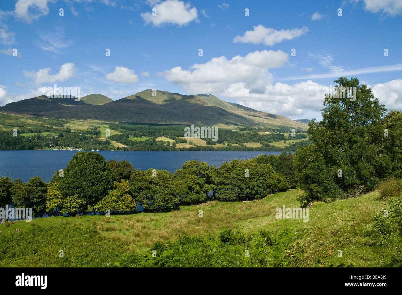 dh Ben Lawers mountain range LOCH TAY PERTHSHIRE Munros scottish scenic blue sky mountains landscape countryside scotland hills highlands Stock Photo