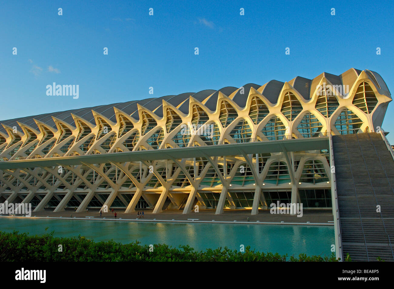 Principe Felipe museum of sciences, City of Arts and Sciences by S