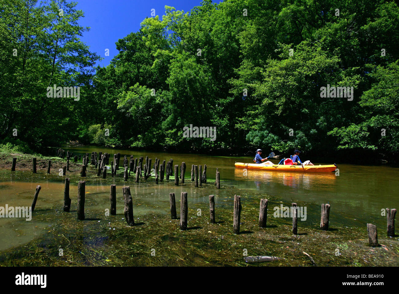 Canoe on the Leyre river (33) Stock Photo