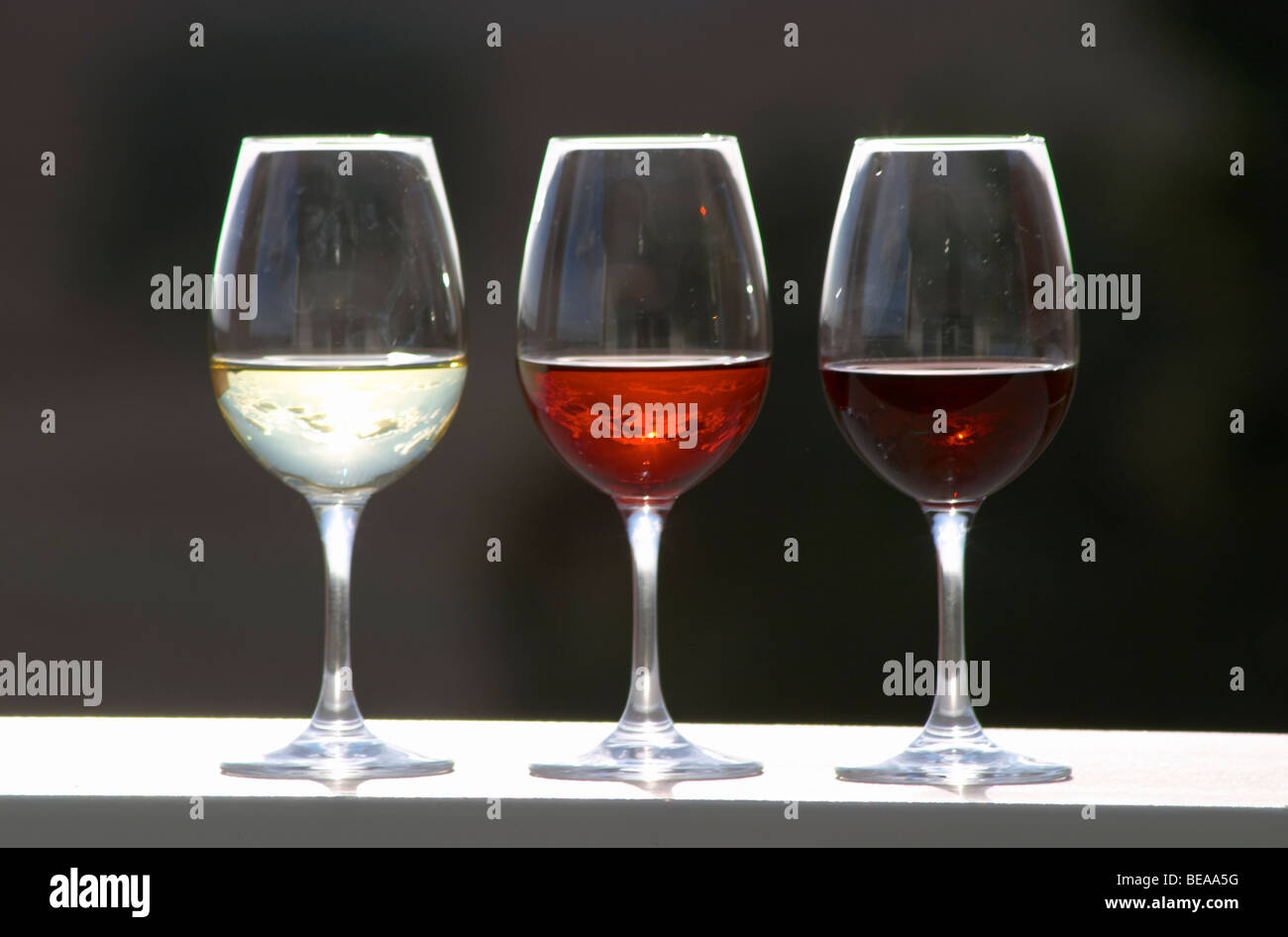 https://c8.alamy.com/comp/BEAA5G/glasses-with-white-rose-and-red-wine-herdade-da-mingorra-alentejo-BEAA5G.jpg