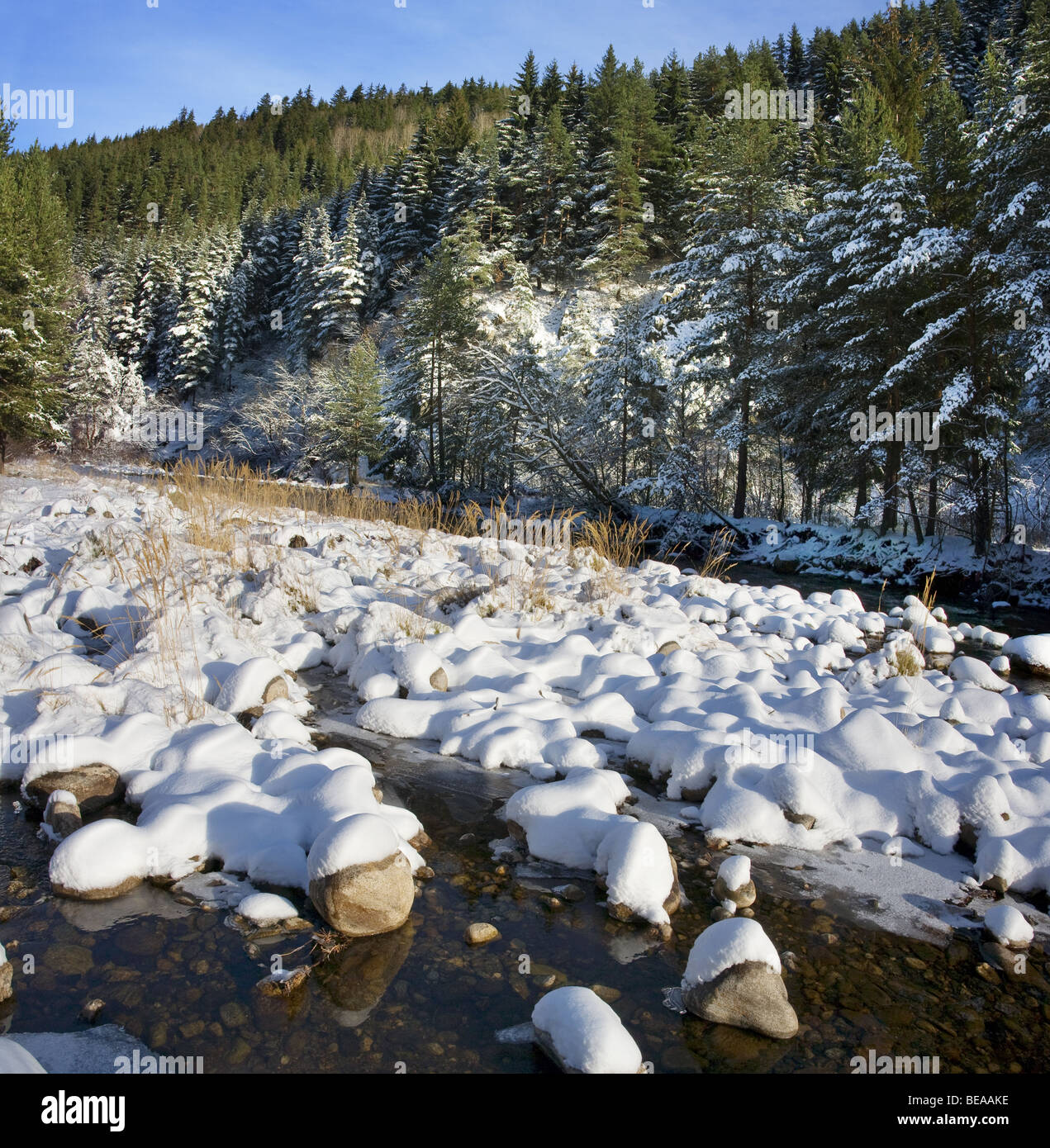 Iskar river with snowy stones, near Mala Tsarkva. Winter in Rila mountain. Stock Photo