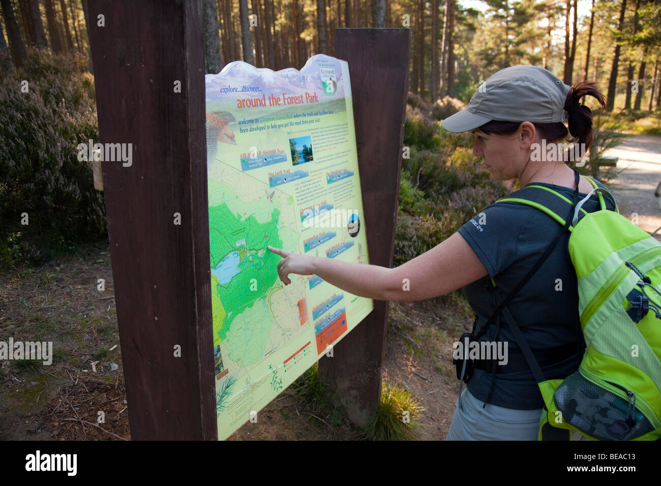 Woman pointing at Glenmore Forest - Woman Pointing At Glenmore Forest Park Trail Map In The Scottish Highlands BEAC13 
