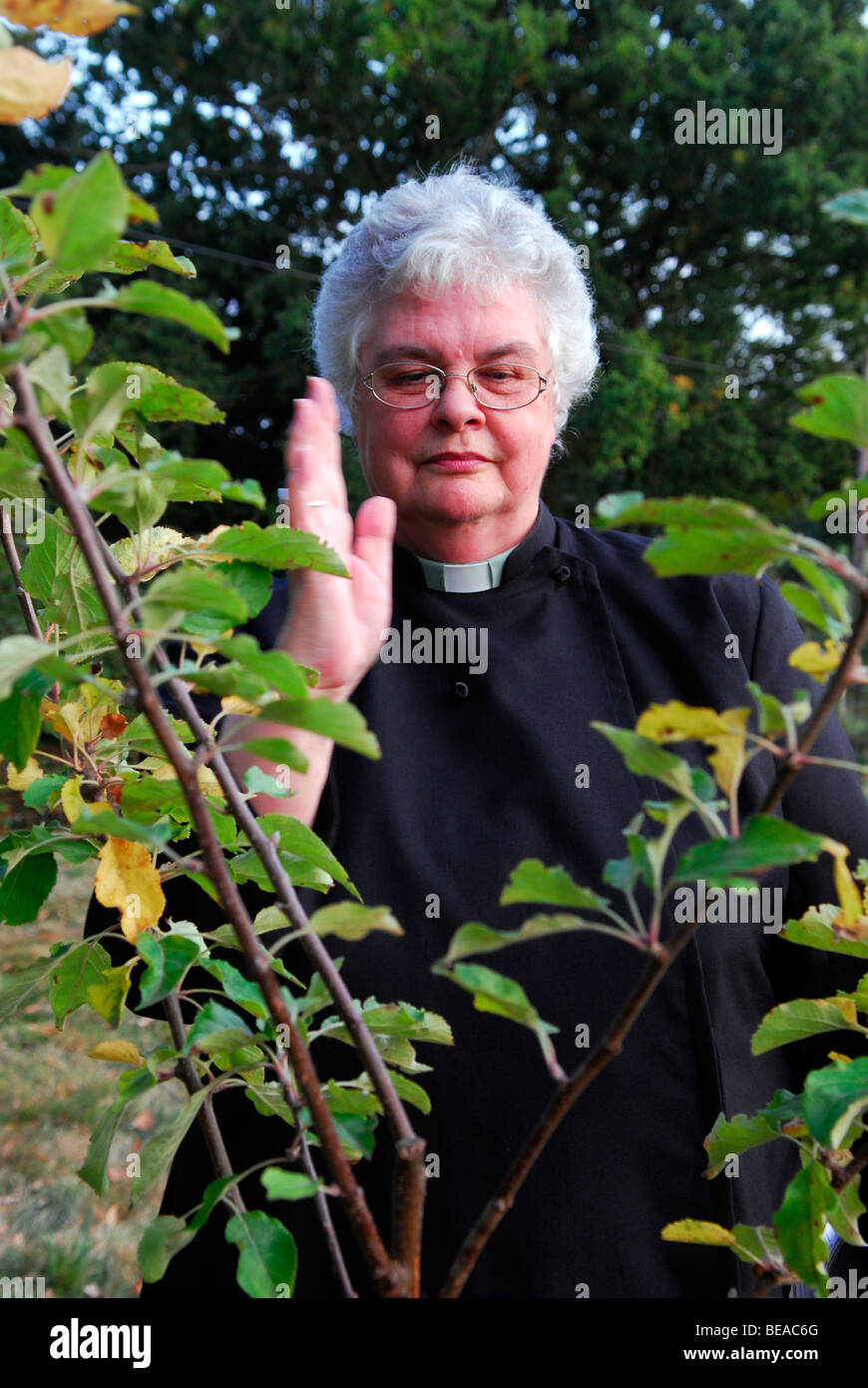 Vicar blessing newly planted tree, Haslemere, Surrey, UK. Stock Photo