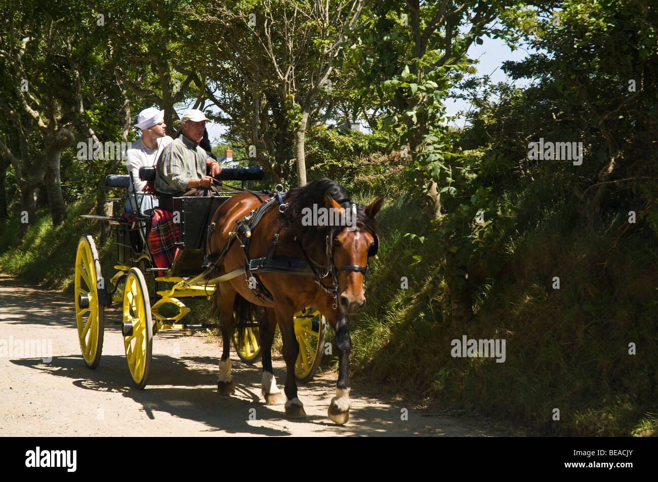 dh  SARK SARK ISLAND Tourists sightsee horsedrawn carriage channel islands pony trap horse buggy Stock Photo