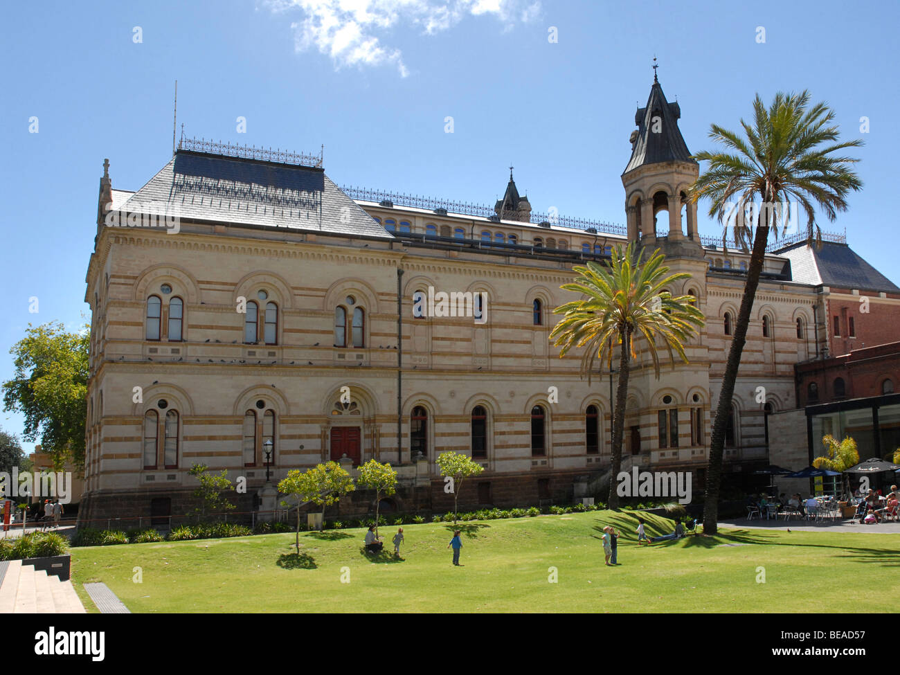 LIBRARY MUSEUM AND ART GALLERY ADELAIDE Stock Photo Alamy
