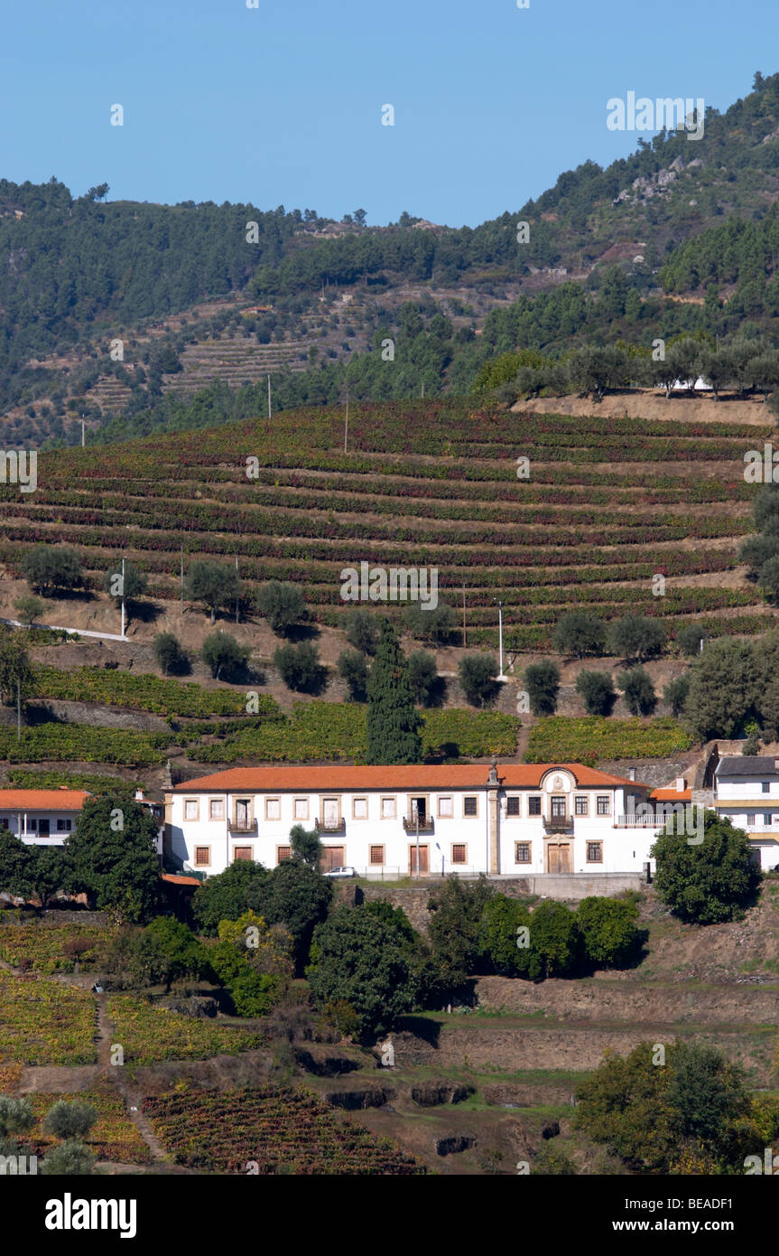 vineyards hilltop village near assento view from winery quinta da gaivosa  douro portugal Stock Photo - Alamy