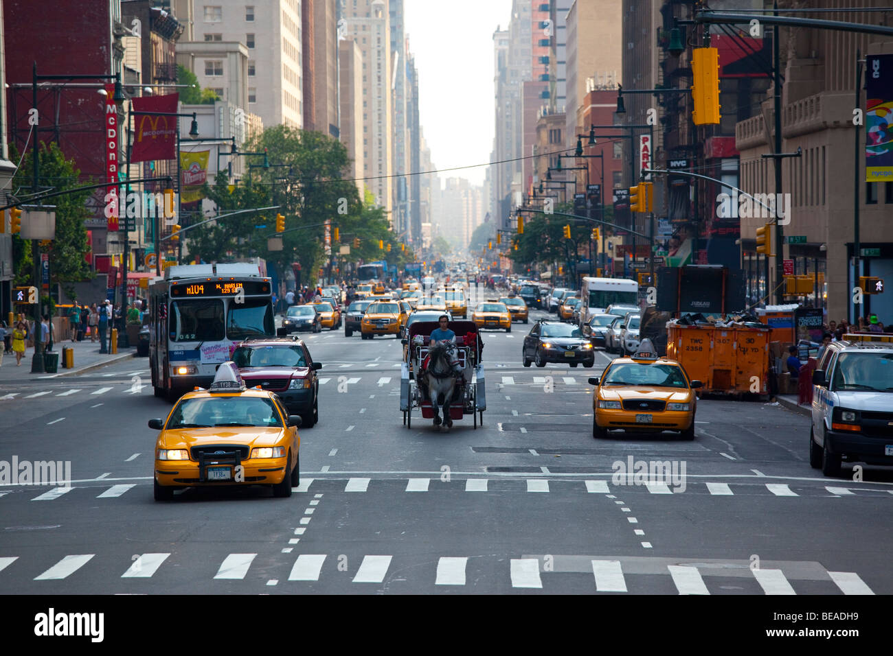 New york city horse drawn hi-res stock photography and images - Alamy