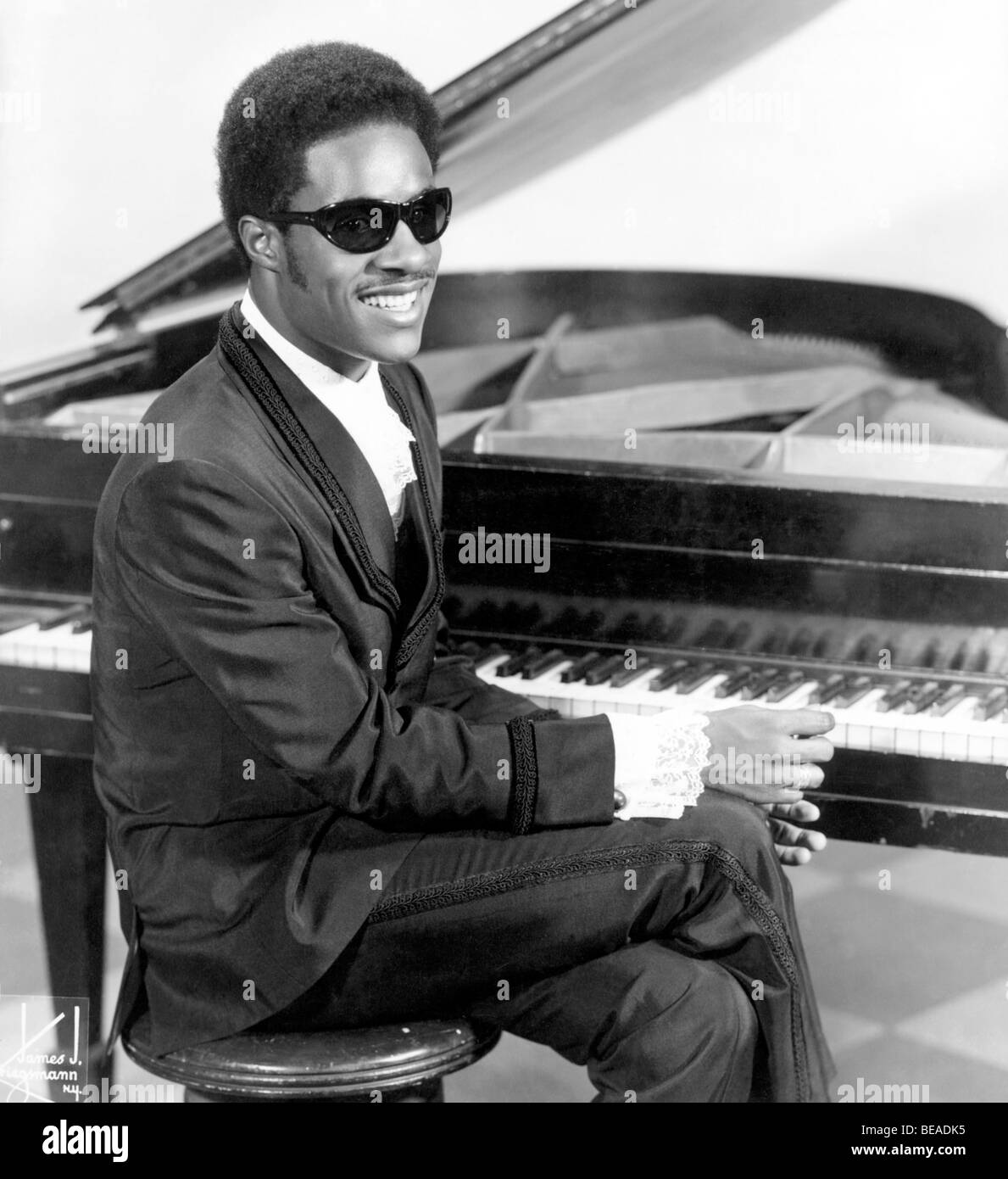 Figurine Vintage Jazz Stevie Wonder – Pour Collectionneur
