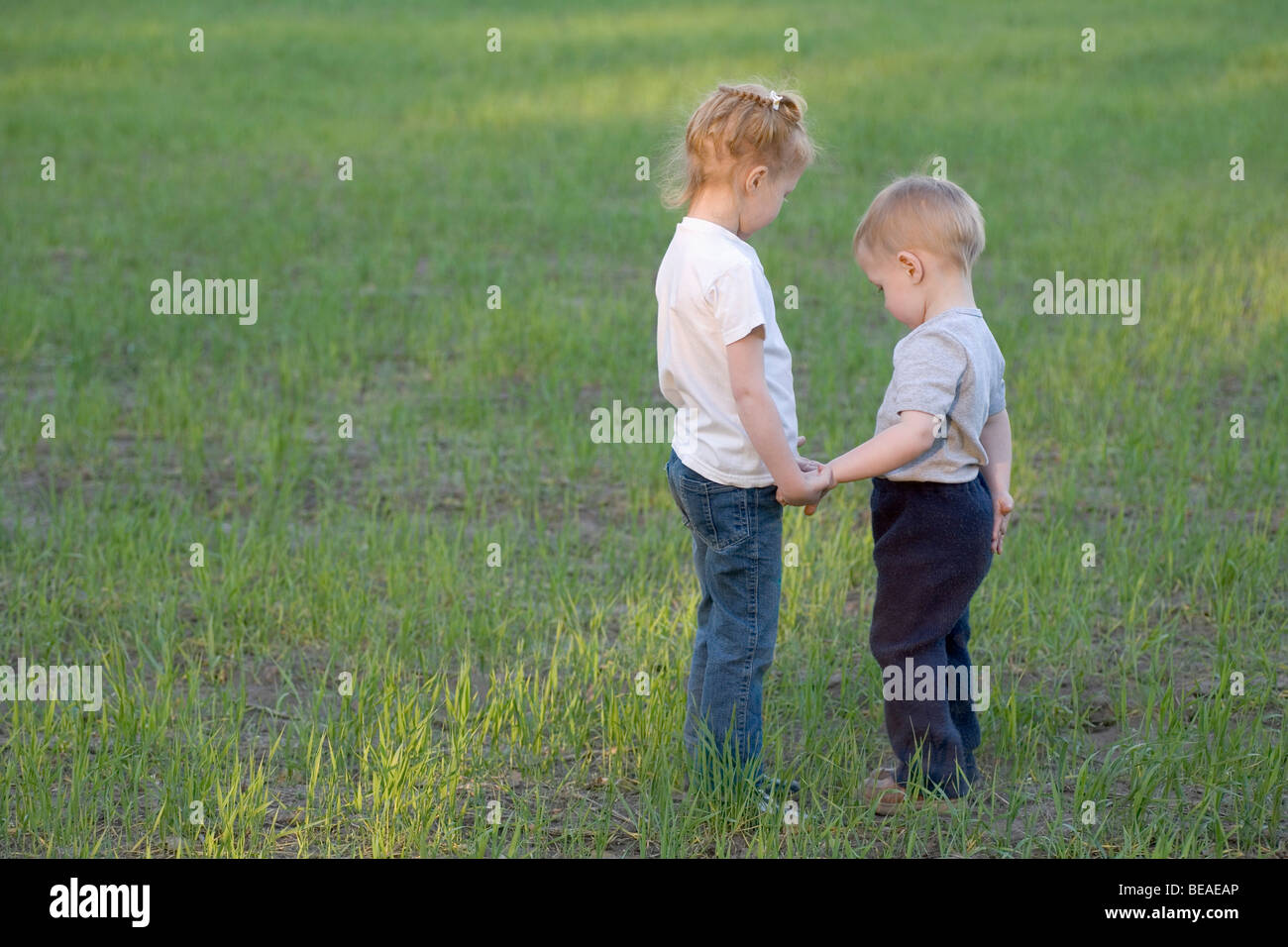 A young sister and brother holding hands, outdoors Stock Photo