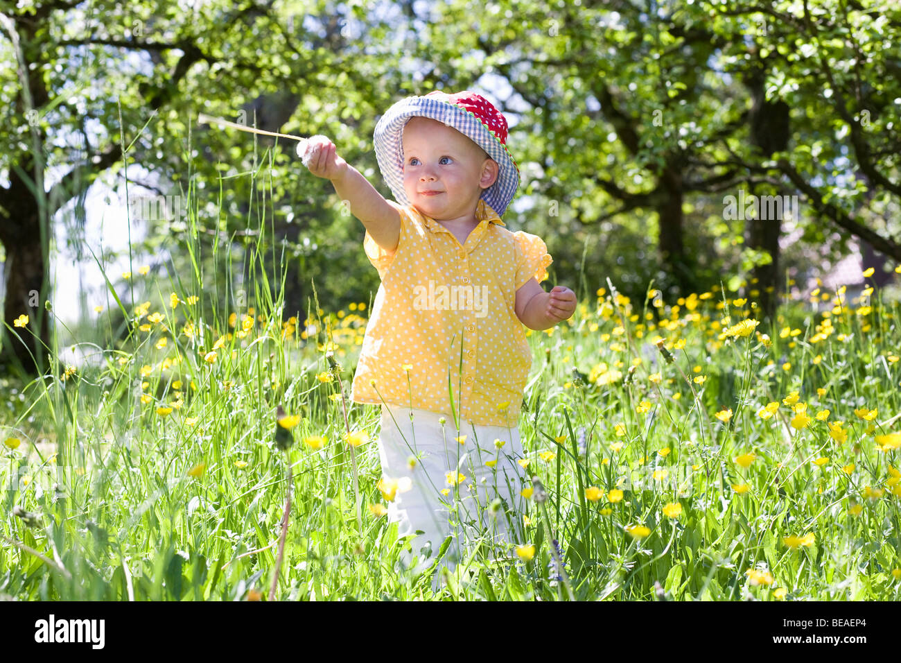 A toddler in standing amongst wildflowers Stock Photo