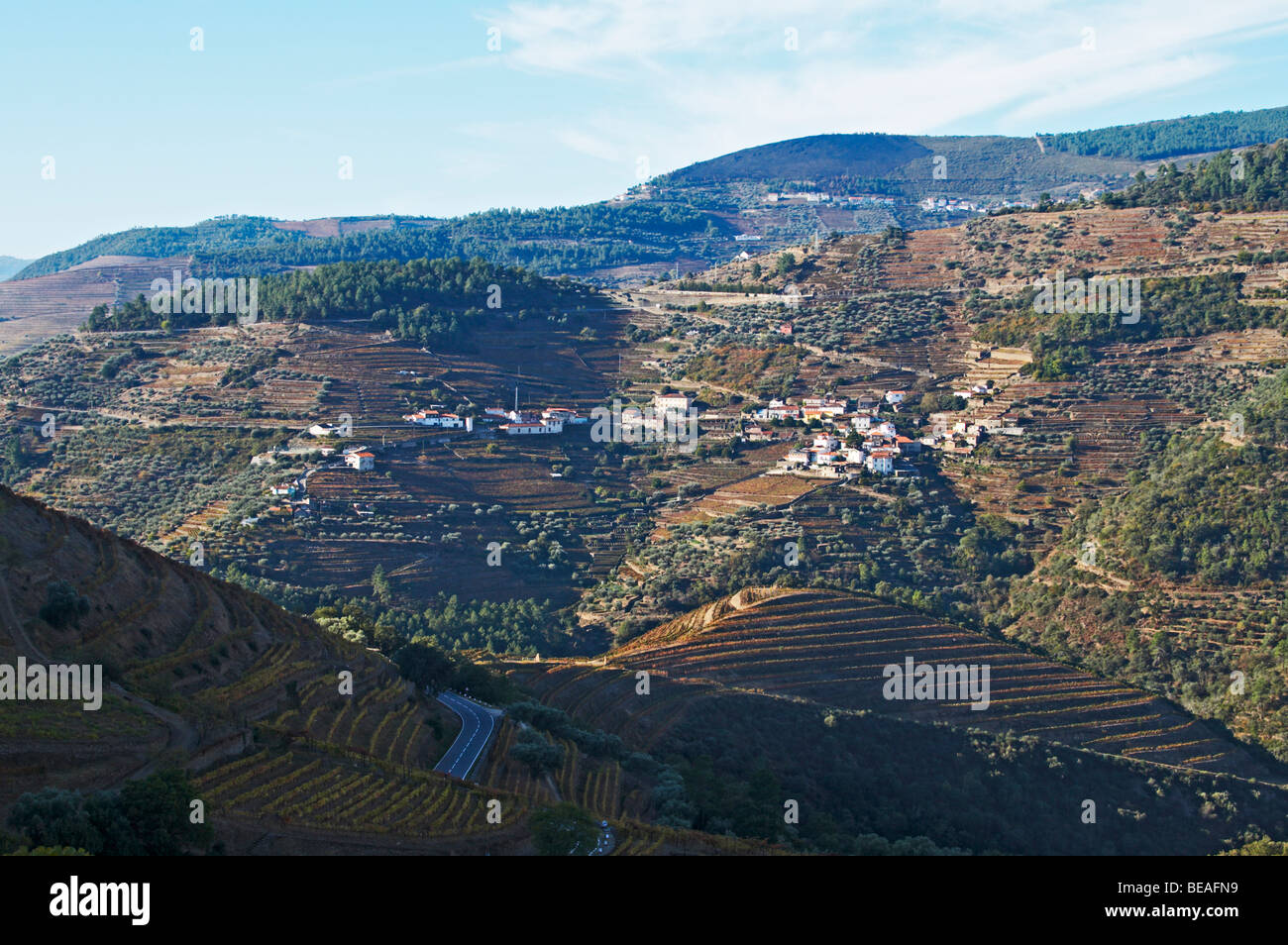 vineyards quinta do noval douro portugal Stock Photo Alamy