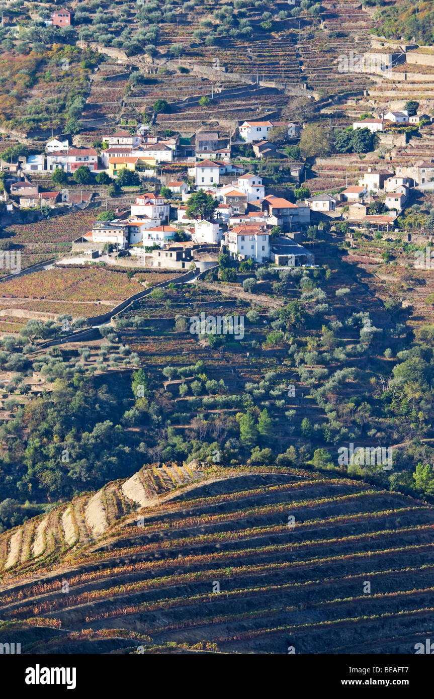vineyards quinta do noval view to sao cristovao do douro douro portugal Stock Photo