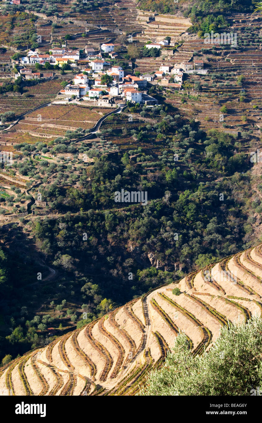 vineyards view to sao cristovao do douro quinta do noval douro portugal Stock Photo