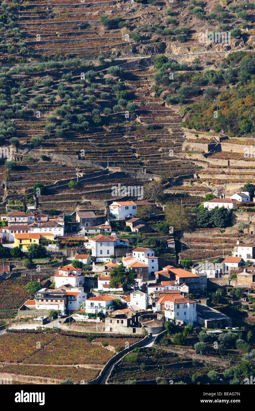 vineyards sao cristovao do douro douro portugal Stock Photo