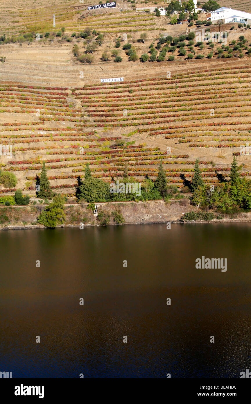 vineyards ferreira quinta vista alegre douro portugal Stock Photo