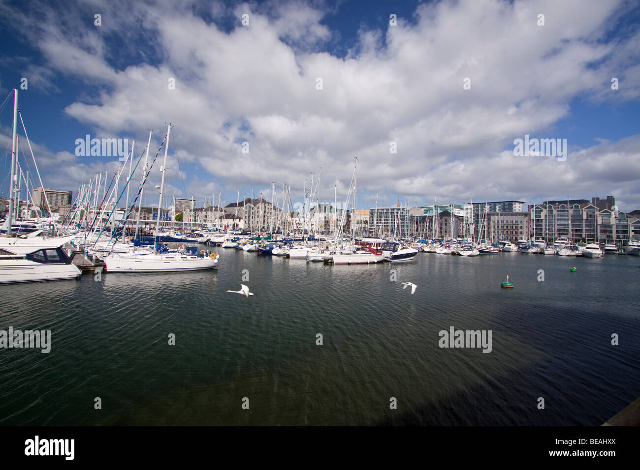 A view of Sutton Harbour Marina, Plymouth, Devon, England Stock Photo Alamy