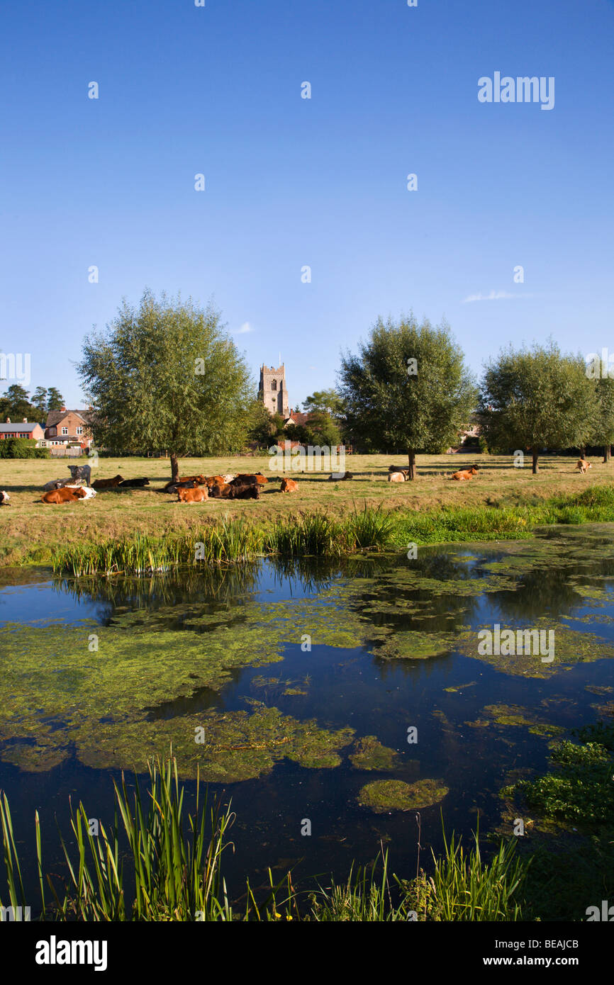 The River Stour Water Meadows and All Saints Church Sudbury Suffolk England Stock Photo