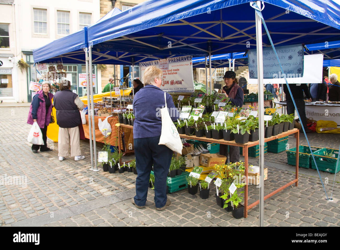 Alnwick Northumberland England UK Customers at a plant jam and preserves weekly market stalls in Market Place Stock Photo